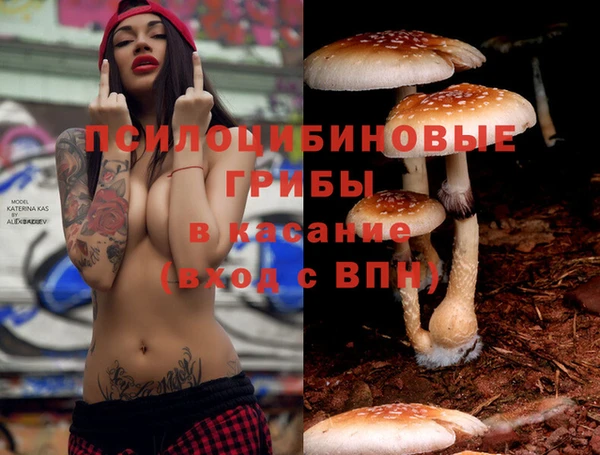 МДПВ Вязьма
