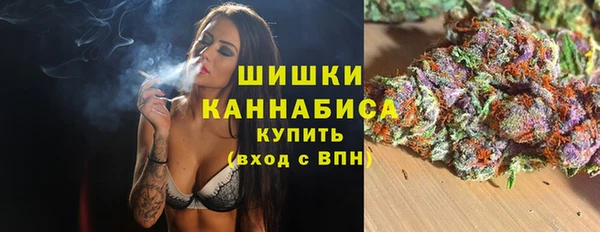 spice Нязепетровск
