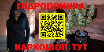 дживик Волжск