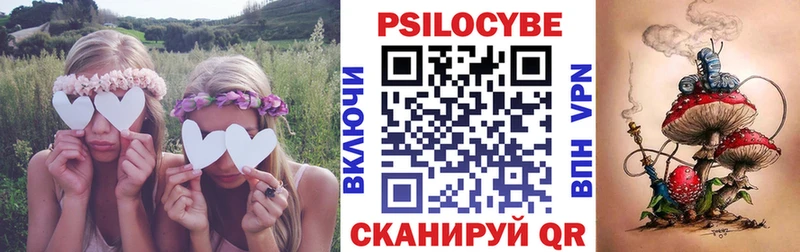 Галлюциногенные грибы мицелий  купить  цена  Воронеж 