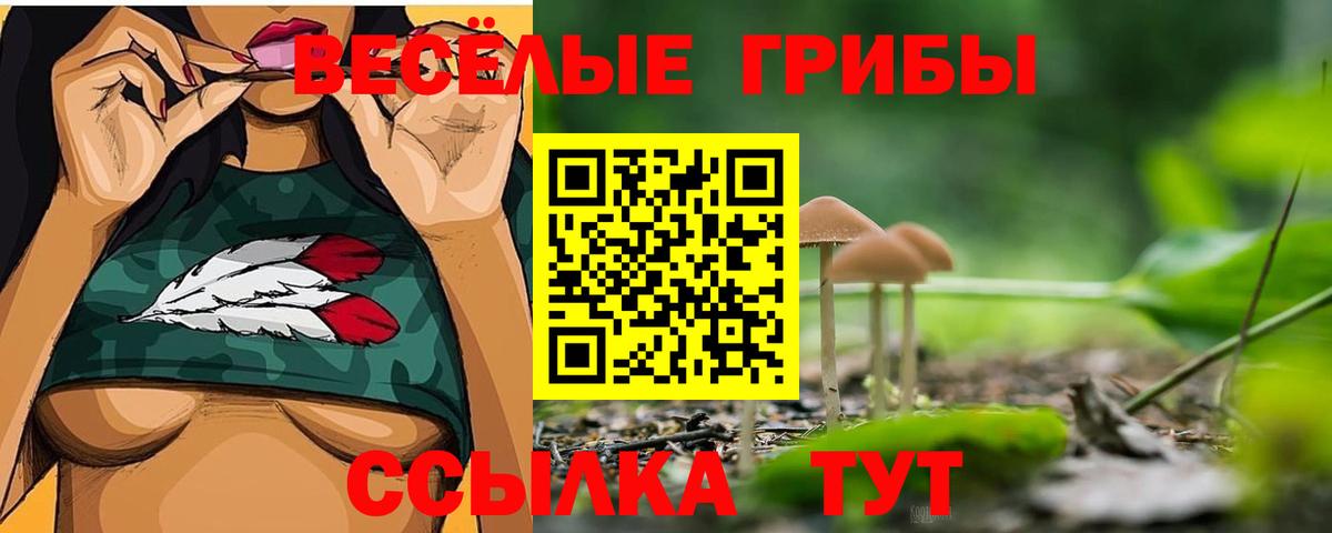 Воронеж  Псилоцибиновые грибы Psilocybine cubensis  хочу   Вход с VPN  Псилоцибиновые грибы Magic Shrooms 