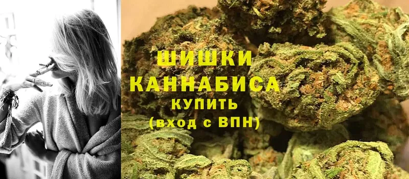 где можно купить   Воронеж  Конопля SATIVA & INDICA 